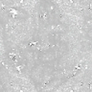 Meet your Posher, Avery